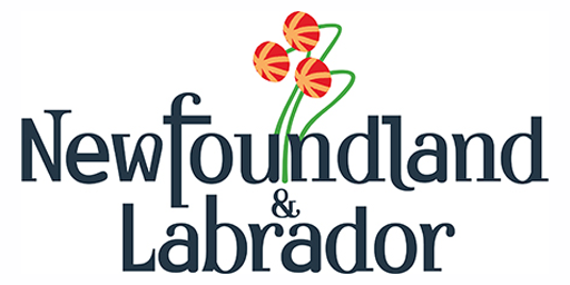 NL Logo