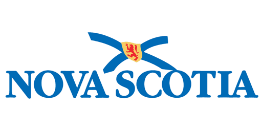 NS Logo
